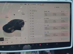 Tesla Model Y Facelift 545km Rear-Wheel Drive Edition - ფოტო 20