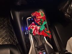 Toyota Corolla 1.2T S-CVT Elite Edition - photo 19