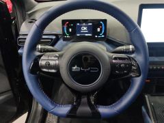 BYD Seagull 305km Free Version - photo 18