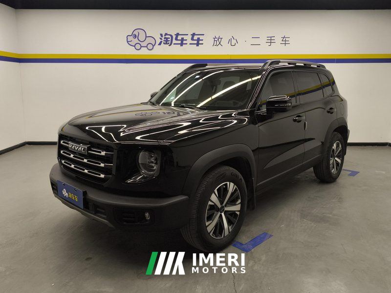 Haval Great Wall Big Dog Great Wall Dog 1.5T Two-wheel drive Labrador version - автомобиль из Китая