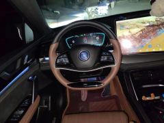 BYD Tang DM-i 1.5T 112KM Precursor Honorable Type - photo 18