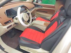 Ora Great Wall Good Cat 401km Luxury Edition - photo 14