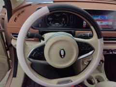 Ora Great Wall Good Cat 401km Luxury Edition - photo 18
