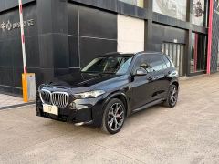 BMW X5 xDrive 30Li M Sport Premium Package - фото 1