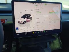 Tesla Model Y 545km Rear-Wheel Drive Edition - фото 20