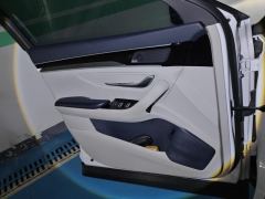 BYD Song PLUS DM-i 1.5L 2WD Version - ფოტო 12