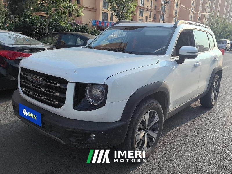 Haval Great Wall Big Dog Great Wall Dog 1.5T Two-wheel drive Labrador version - ავტომობილი ჩინეთიდან