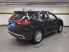 Haval M6 PLUS 1.5T Luxury Version - ფოტო 2