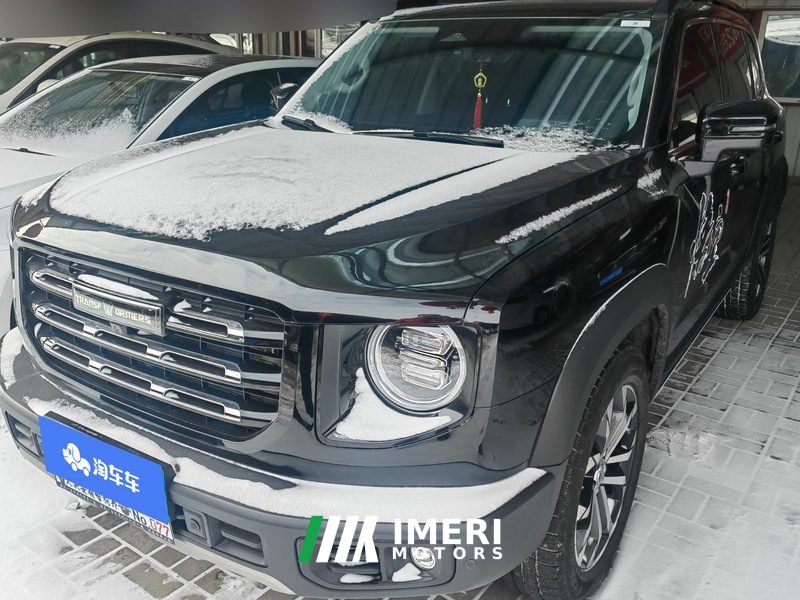 Haval Great Wall Big Dog Great Wall Dog 1.5T 2WD Edge Pastoral Edition - автомобиль из Китая