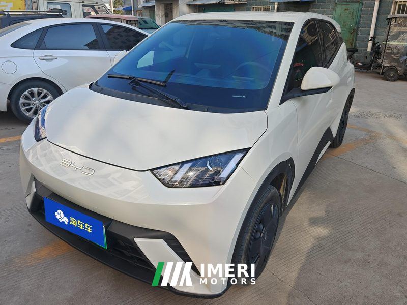 BYD Seagull 305km Vitality Edition - ავტომობილი ჩინეთიდან
