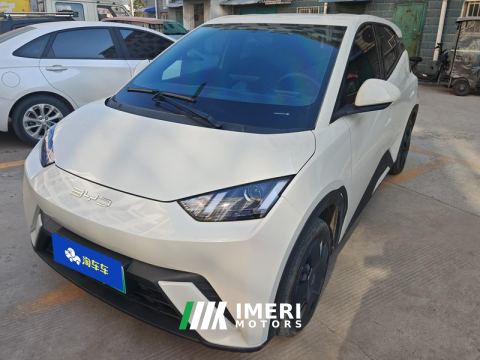 2023 BYD Seagull 305km Vitality Edition - ავტომობილი ჩინეთიდან