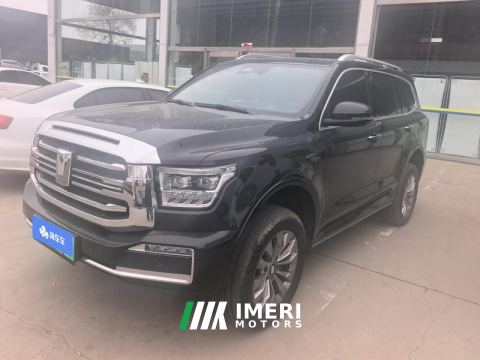 2024 Tank 500 New Energy 2.0T Hi4-T 36.7kWh - car from China