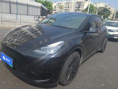 Tesla Model Y 545km Rear-Wheel Drive Edition - ფოტო 1