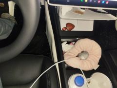 Tesla Model 3 606km Rear-Wheel Drive Edition - ფოტო 19