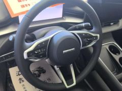 Haval H6 1.5T Two-Wheel Drive Max - photo 18