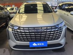 Haval H6 1.5T Two-Wheel Drive Max - photo 3
