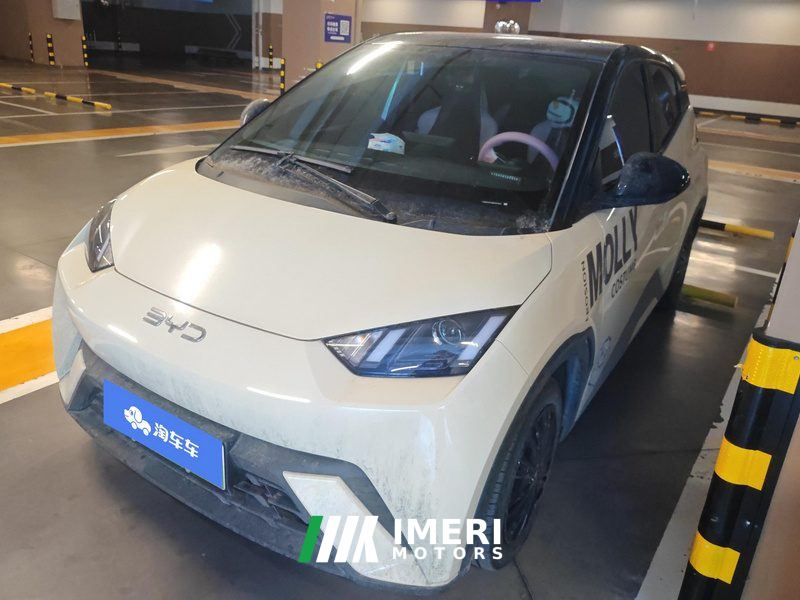 BYD Seagull Honor Edition 305km Vitality Edition