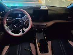 BYD Seagull Honor Edition 305km Vitality Edition - photo 16