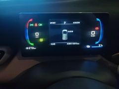 BYD Seagull Honor Edition 305km Vitality Edition - photo 20
