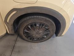 BYD Seagull Honor Edition 305km Vitality Edition - photo 6