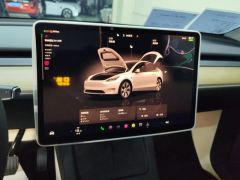 Tesla Model Y 545km Rear-Wheel Drive Edition - ფოტო 17