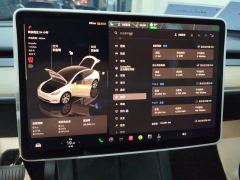 Tesla Model Y 545km Rear-Wheel Drive Edition - ფოტო 20