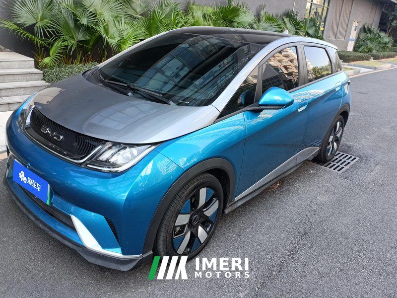 BYD Dolphin 401km Knight Edition - car from China