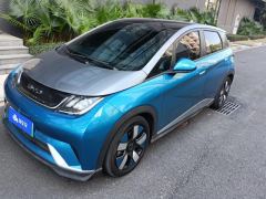 BYD Dolphin 401km Knight Edition - photo 1