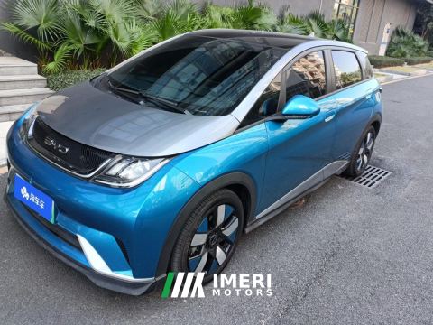2021 BYD Dolphin 401km Knight Edition - ავტომობილი ჩინეთიდან