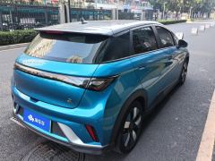 BYD Dolphin 401km Knight Edition - photo 2