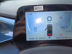 BYD Dolphin 401km Knight Edition - photo 20