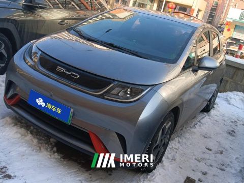 2021 BYD Dolphin 405km Free Version - ავტომობილი ჩინეთიდან