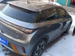 BYD Dolphin 405km Free Version - ფოტო 2
