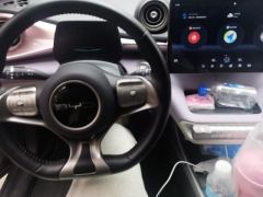 BYD Dolphin 420km Stylish Edition - photo 16