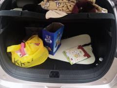 BYD Dolphin 420km Stylish Edition - photo 7