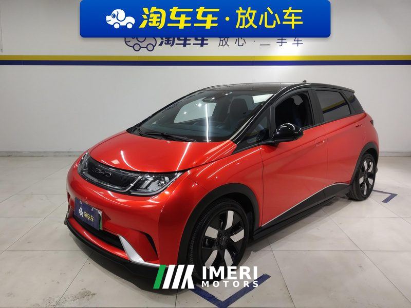BYD Dolphin 401km Knight Edition