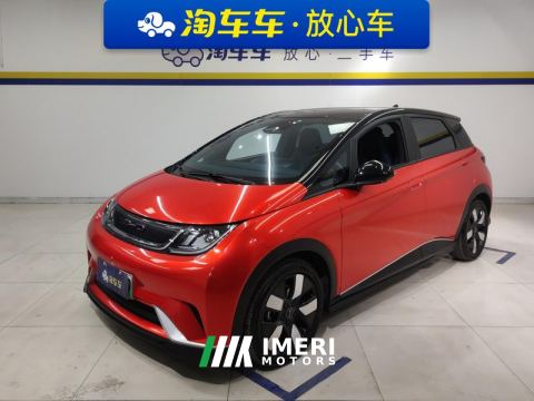 2021 BYD Dolphin 401km Knight Edition - car from China