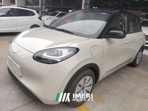 2023 Wuling Bingo Binguo 333km Quick Enjoy Edition - ავტომობილი ჩინეთიდან