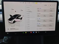 Tesla Model 3 556km Rear-Wheel Drive Edition - ფოტო 20