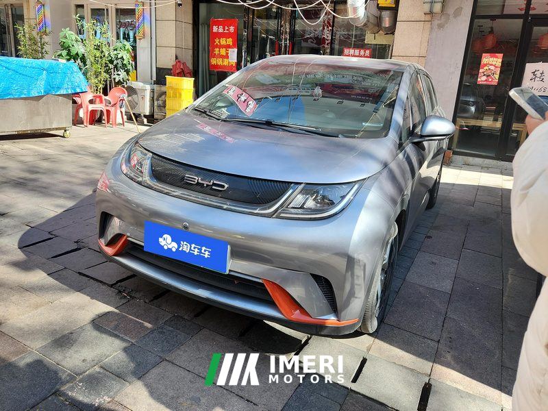 BYD Dolphin 405km Free Version