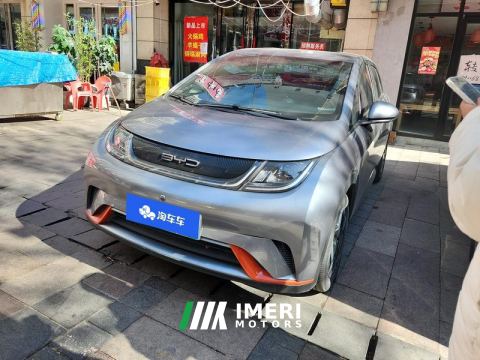 2021 BYD Dolphin 405km Free Version