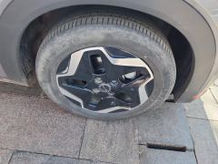 BYD Dolphin 405km Free Version - ფოტო 6