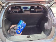 BYD Dolphin 405km Free Version - ფოტო 7