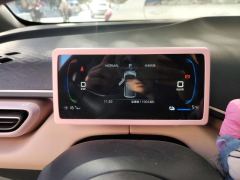BYD Seagull 305km Free Version - ფოტო 20