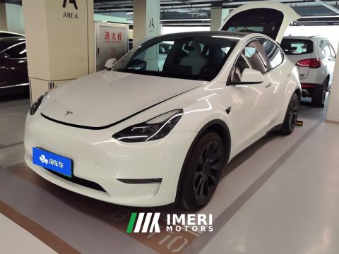 2021 Tesla Model Y Standard endurance rear-wheel drive - ავტომობილი ჩინეთიდან
