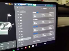 Tesla Model Y Standard endurance rear-wheel drive - ფოტო 20