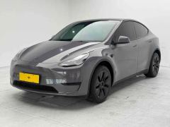 Tesla Model Y 554km Rear-Wheel Drive Edition - ფოტო 1