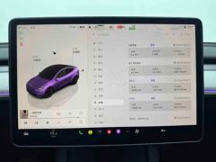 Tesla Model Y 554km Rear-Wheel Drive Edition - ფოტო 11