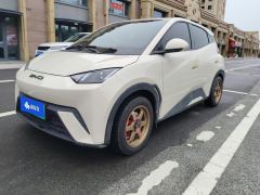 BYD Seagull Honor Edition 305km Vitality Edition - photo 1