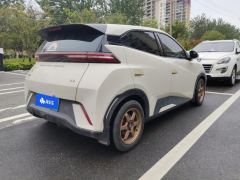 BYD Seagull Honor Edition 305km Vitality Edition - photo 2